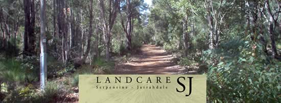 Munda Biddi Trail